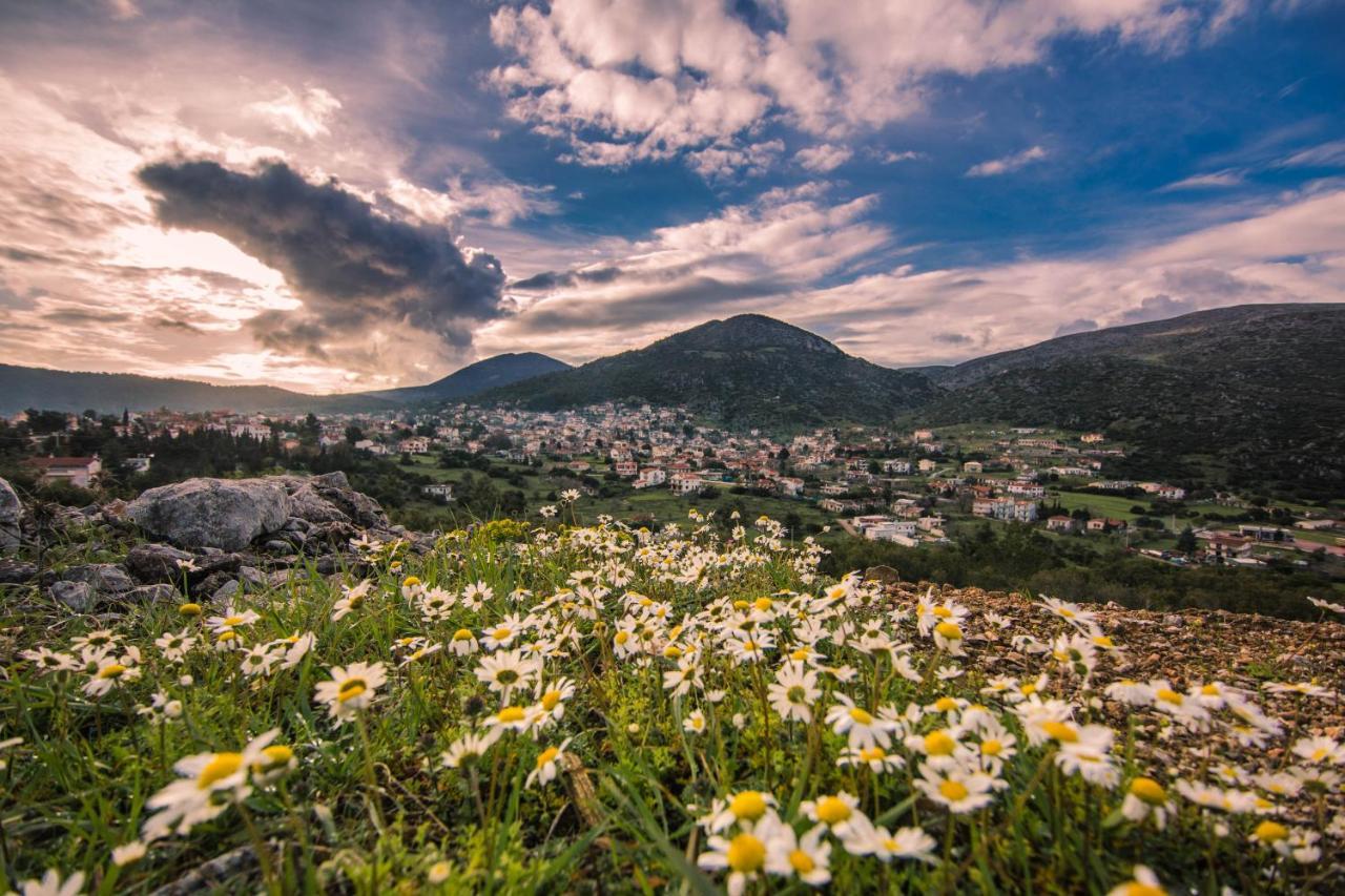 فندق Arion Vília المظهر الخارجي الصورة